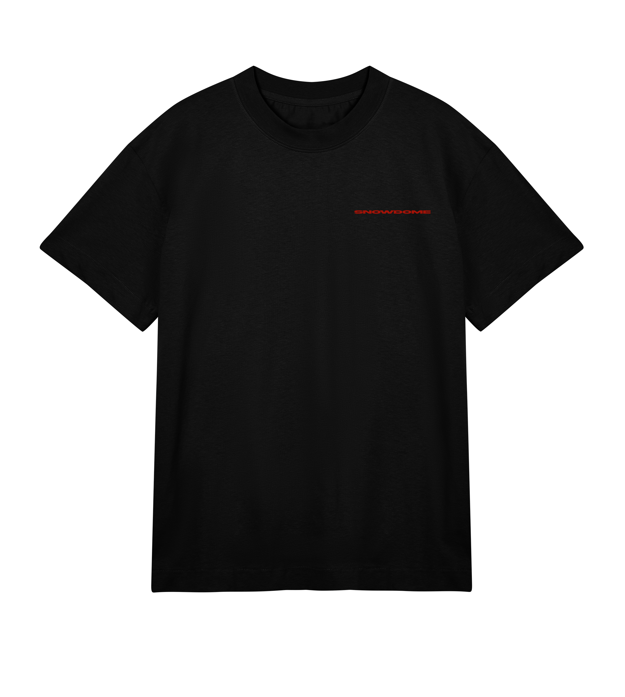 SNOWDOME TEE (MENS): BLUR