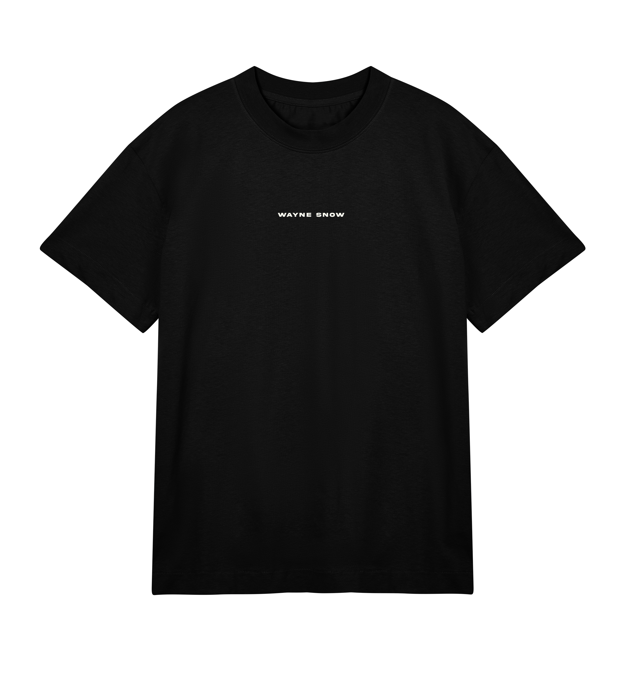 SNOWDOME TEE (MENS): COVER