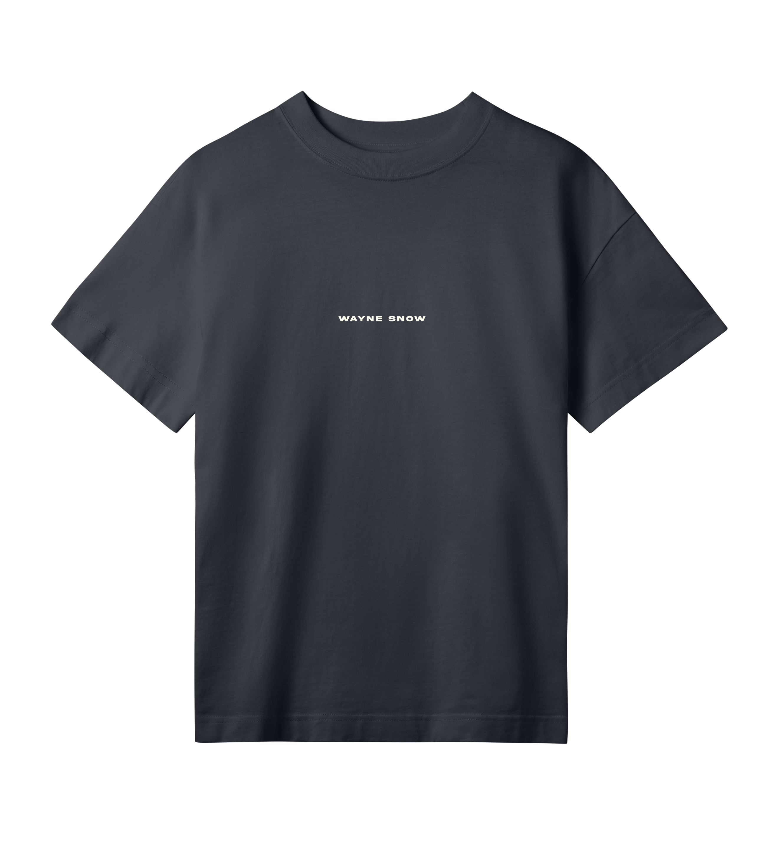 SNOWDOME TEE (WOMENS): COVER