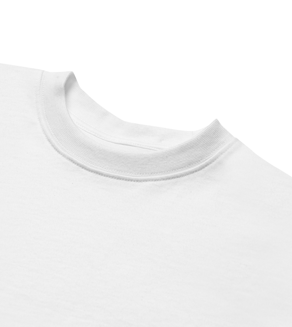 SNOWDOME TEE (MENS): BLUR