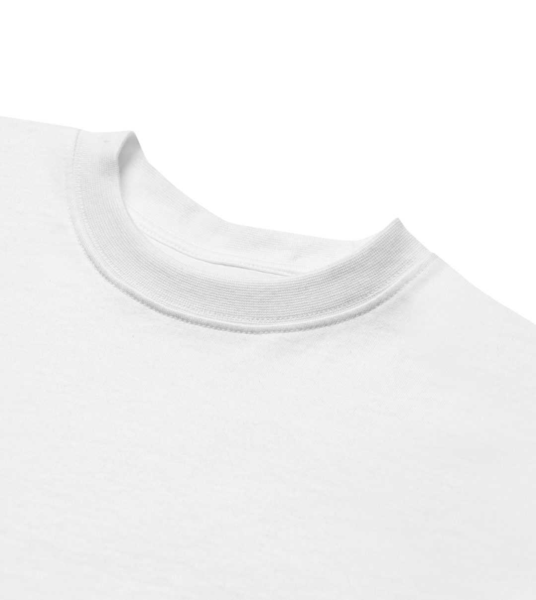 SNOWDOME TEE (MENS): BLUR