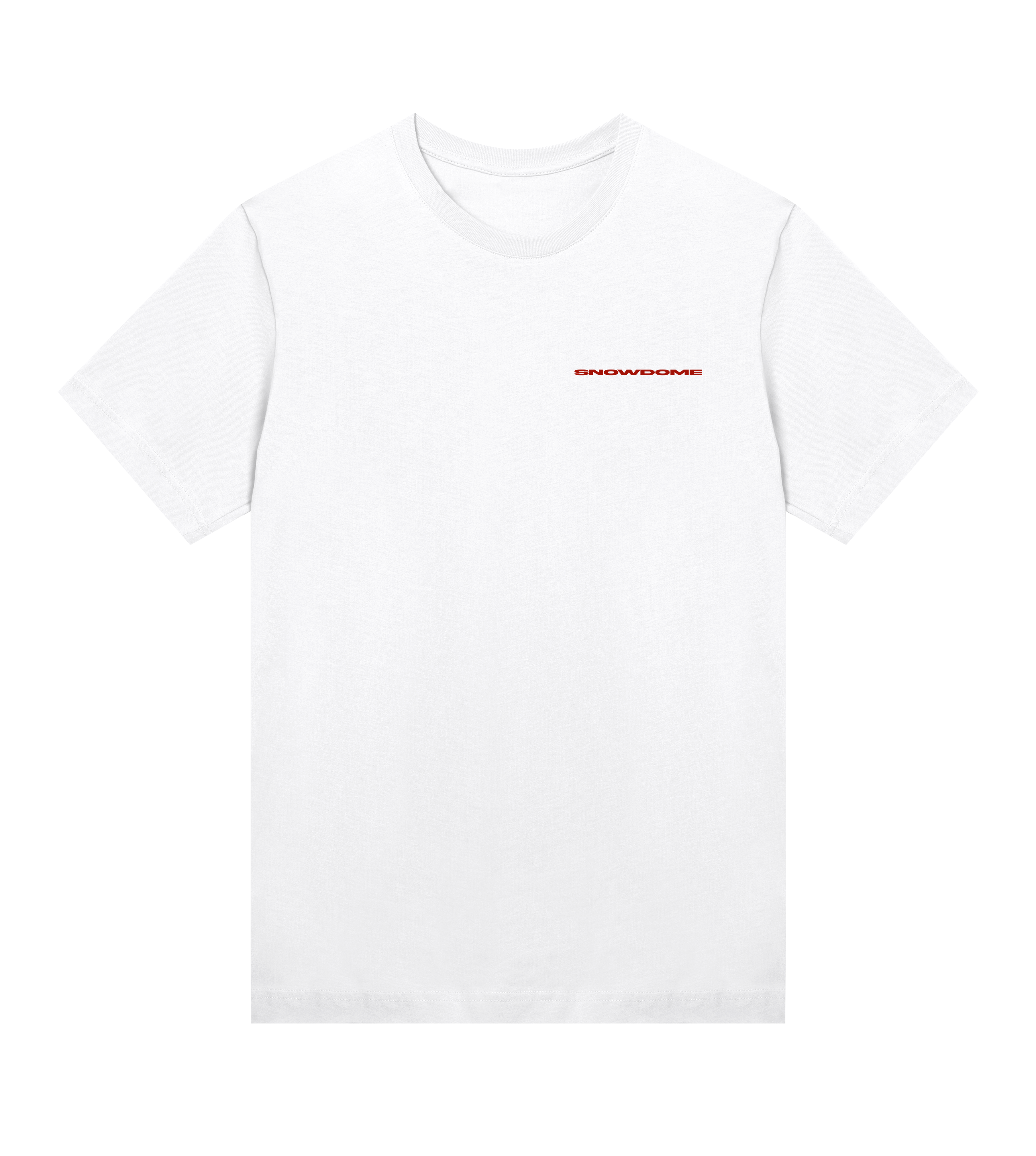 SNOWDOME TEE (WOMENS): BLUR